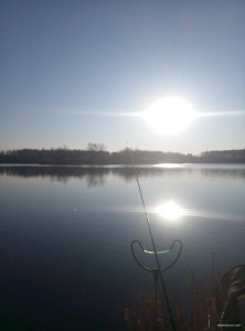 P10322-064418.jpg