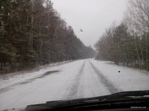 IMG_20210323_080104.jpg