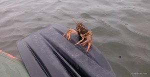 IMG_20210323_151104.jpg