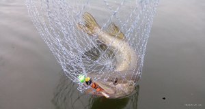 IMG_20210323_173656.jpg