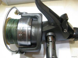 IMG_0223.JPG