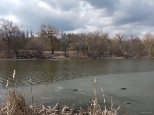 IMG_20210327_120305.jpg