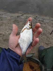 IMG_20210327_110426.jpg