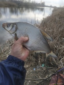 IMG_20210327_151620.jpg