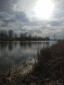 IMG_20210327_150913.jpg