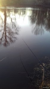 20210328_182055.jpg