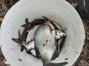 IMG_20210329_133457.jpg