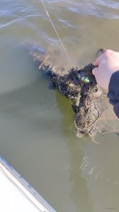 IMG_20210328_104900.jpg