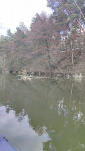 IMG_20210328_154223.jpg