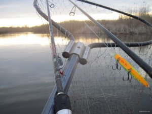 IMG_4987.JPG