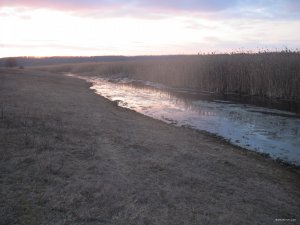 IMG_4991.JPG