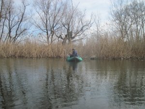 IMG_5003.JPG