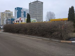IMG_20210316_093032.jpg