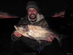 IMG_5016.JPG