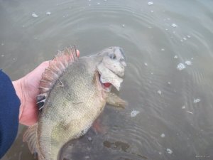 IMG_5037.JPG