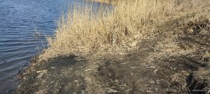 IMG_20210410_142629.jpg
