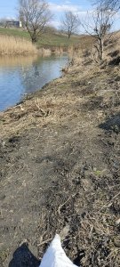IMG_20210410_141618.jpg