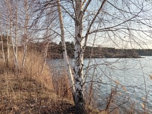 IMG_20210410_173424.jpg