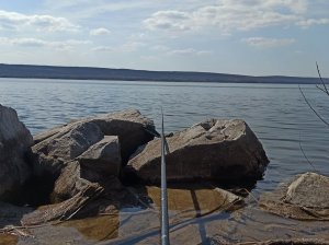 IMG_20210410_222603.jpg