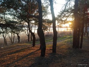 IMG_20210410_185036.jpg