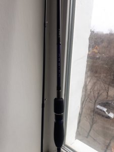 20210412_114708.jpg