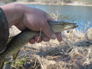 IMG_5048.JPG
