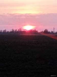 IMG_20210411_191300.jpg