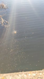 IMG_20210410_180648.jpg