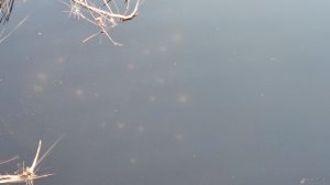 IMG_20210410_182441.jpg
