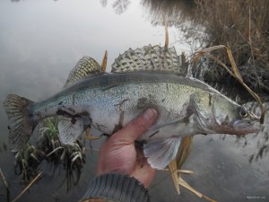 IMG_5076.JPG