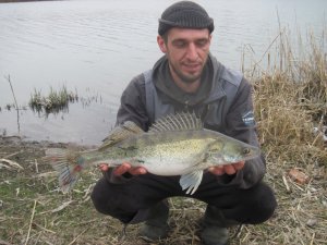 IMG_5080.JPG