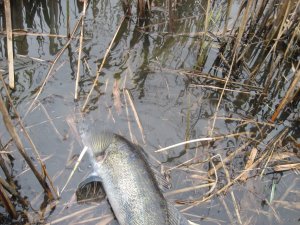 IMG_5102.JPG