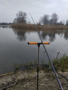 IMG_20210413_104412.jpg