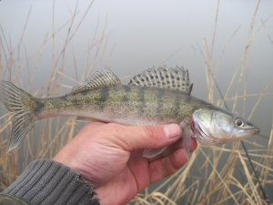 IMG_5112.JPG