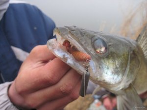 IMG_5119.JPG