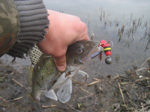 IMG_5120.JPG