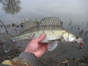 IMG_5122.JPG