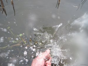 IMG_5124.JPG