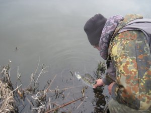 IMG_5130.JPG