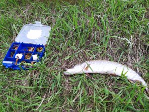 IMG_20210414_162729.jpg