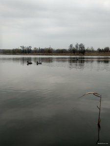 IMG_20210413_144044.jpg