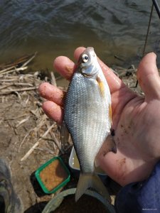 IMG_20210417_135206.jpg