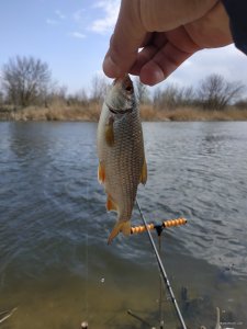IMG_20210417_134432.jpg