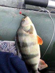 IMG_6086.jpg