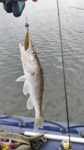 IMG_20210418_141850.jpg