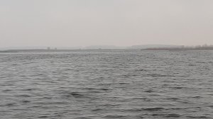 20210419_065610.jpg