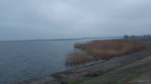 20210419_054535.jpg