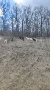 IMG_20210417_131608.jpg