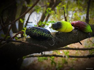 3453056A-1EE1-4033-A33A-1665D3D31CB9.jpeg