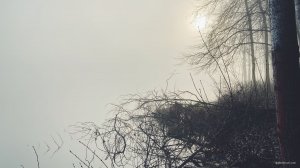 IMG_3069.JPG